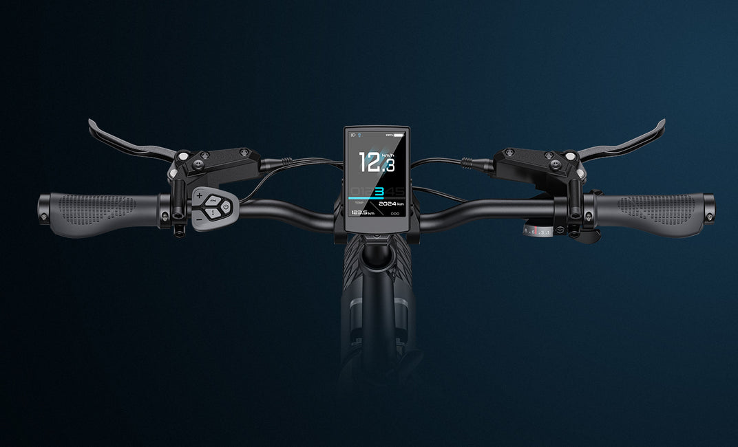 Engwe L20 3.0 Pro