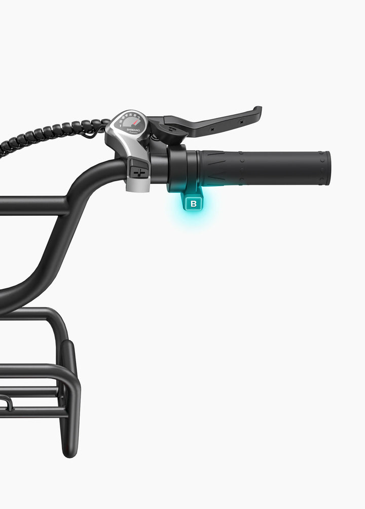 Engwe L20 Boost Bicicleta Fat Eléctrica