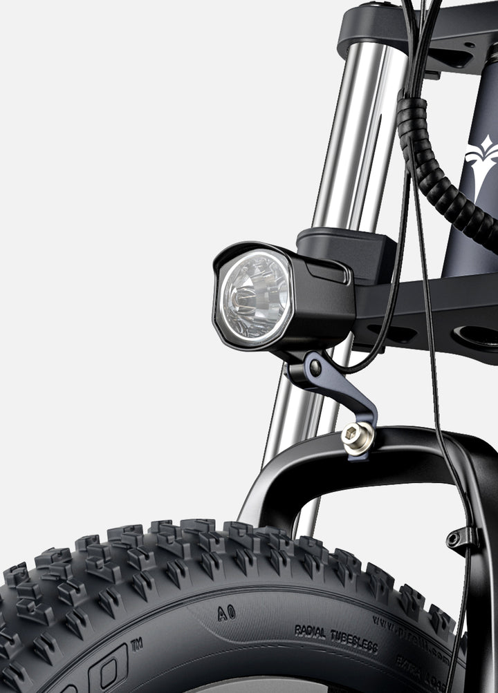 Engwe X26 Vélo Électrique Fat Bike