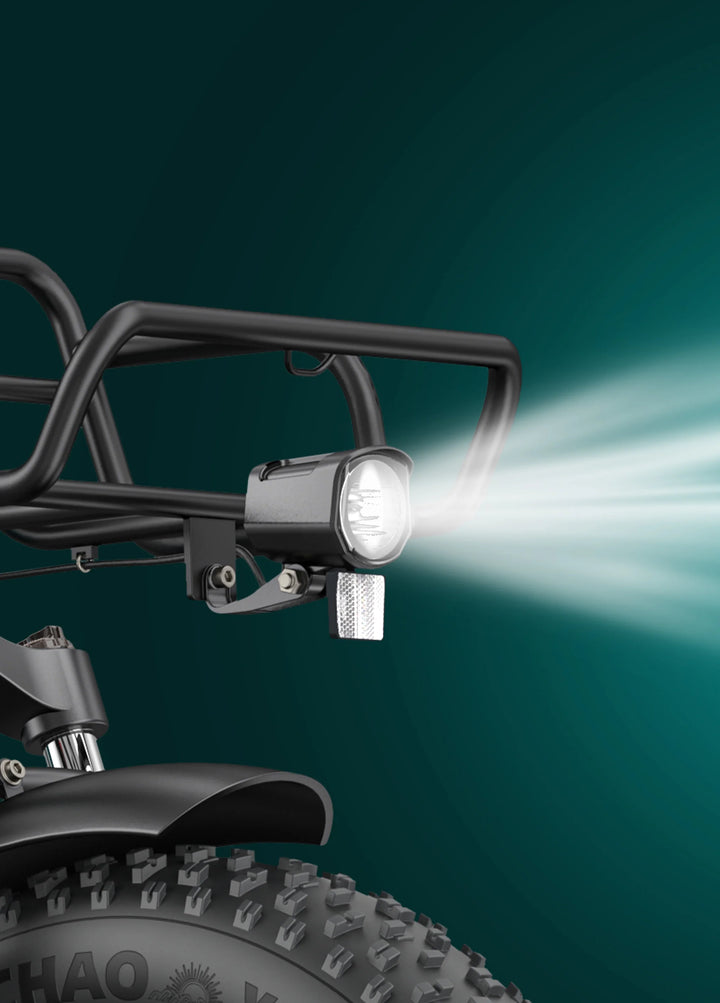 Engwe L20 Boost Bicicleta Fat Eléctrica