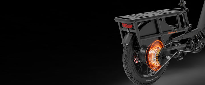 Lankeleisi Wombat-1 Electric Fat Bike