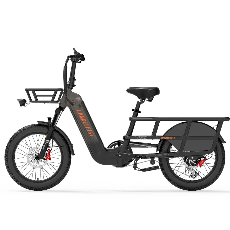 Lankeleisi Wombat-1 1000W — 1000W electric bike (view 4 of 5)